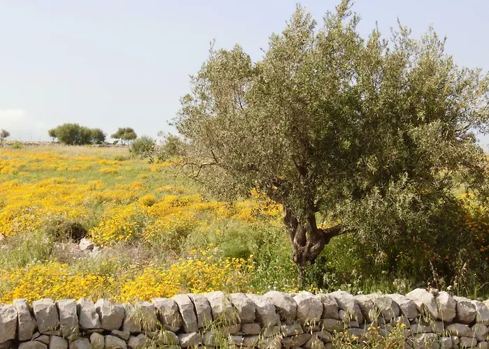 度假居 Casa Helenia Bruca *